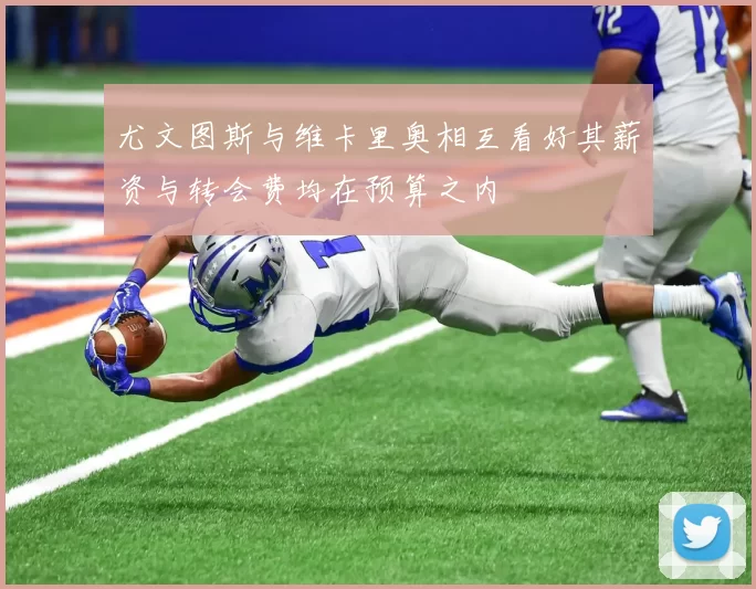 尤文图斯与维卡里奥相互看好其薪资与转会费均在预算之内